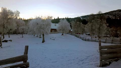 Vinter ved Kvitevoll